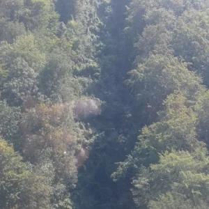 20180820_134902.jpg