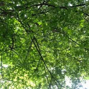20180609_153929.jpg