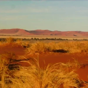 Gateway Namib