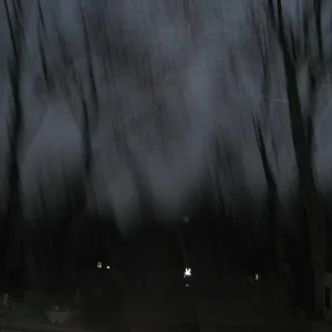Bild_0041