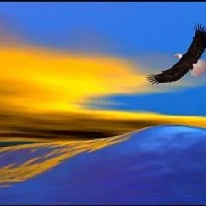 eaglepic