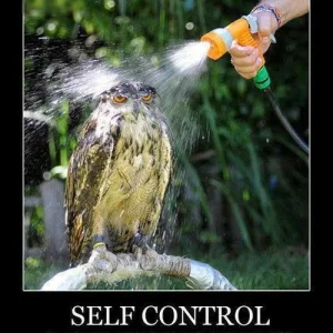 selfcontrol.jpg