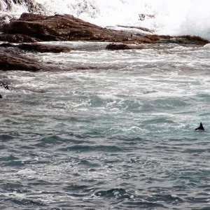 v meer südafrika.jpg