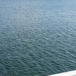 20190416_151622.jpg
