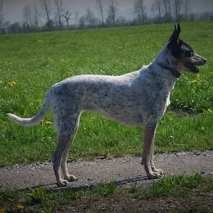 20190415_153941 (2).jpg