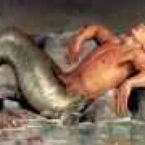 9 fishemann mann.jpg