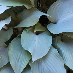 20190603_185642.jpg