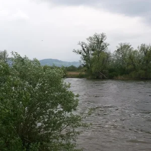 20190525_164400.jpg