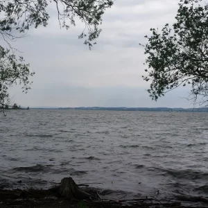 20190525_163806.jpg