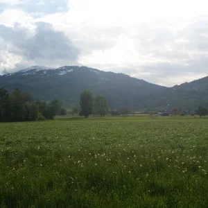 20190506_175104.jpg
