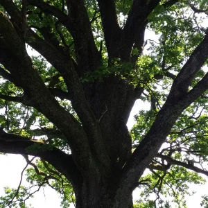 20180508_161218.jpg
