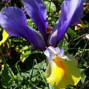 20190605_095132.jpg