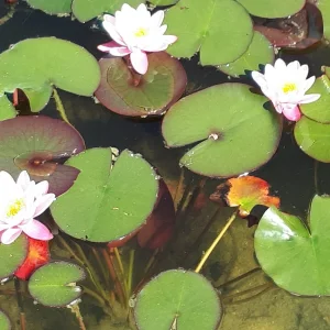 20190605_094608.jpg