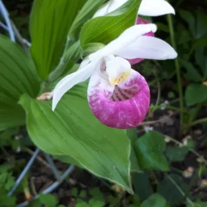 20190605_092911.jpg