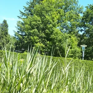 20190604_133617-1944x3456.jpg