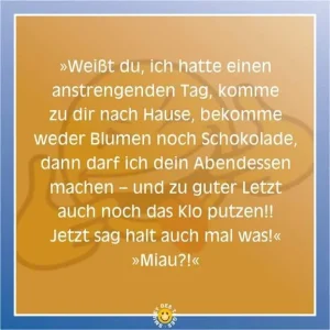 FB_IMG_1559837397819.jpg