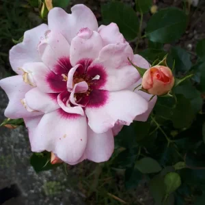 20190606_113526.jpg