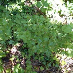 DSCN2349.JPG