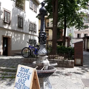 20190607_113445  1.jpg