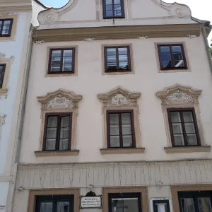 20190607_113257.jpg