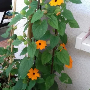 20190605_101320_resized_1.jpg