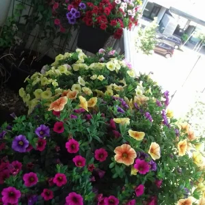 20190605_101218_resized.jpg