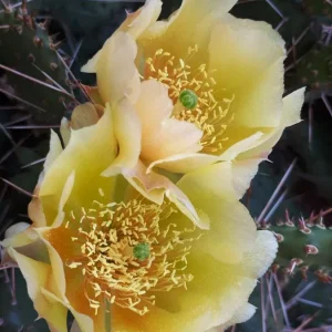 20190609_113045.jpg
