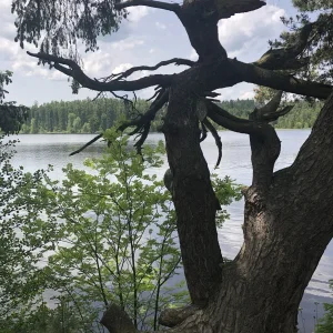 upload_2019-6-11_8-19-2.jpeg