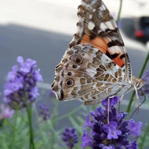 20190612_092135.jpg