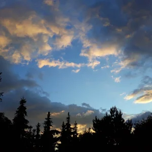 20190612_212358.jpg