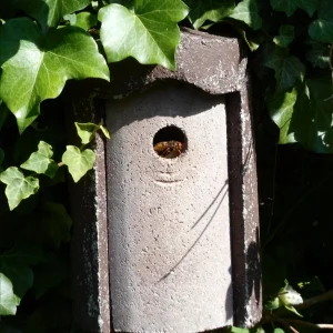 DSCN2353.JPG