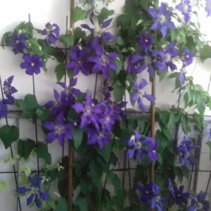 20190613_111041.jpg