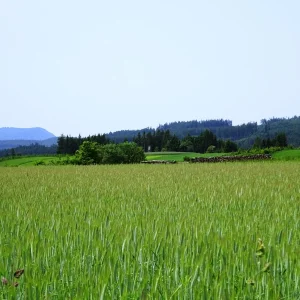DSC00724.JPG