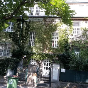 20190613_163225  1.jpg