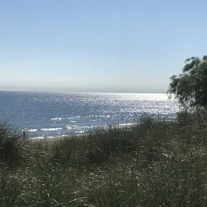 AE0F6B4A-838D-494E-BE57-B371906D8081.jpeg