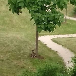20190615_074532_resized.jpg