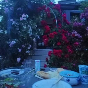 IMG-20190615-WA0000.jpg