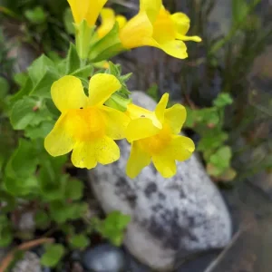 20190615_162408.jpg