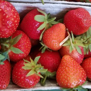 Garten 2019 bis 7.6.2019 1500.jpg