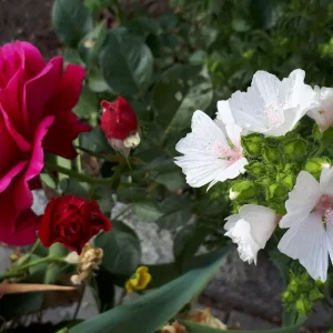 20190617_185056.jpg