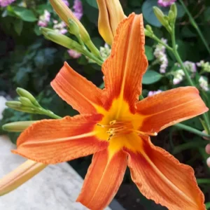 20190617_173409.jpg