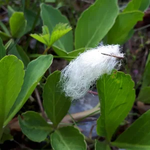 20190617_185221.jpg