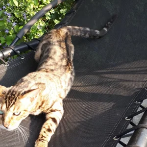 20190617_185029.jpg