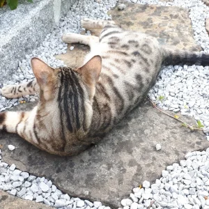20190617_185524.jpg