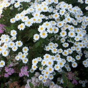 20190620_090850.jpg