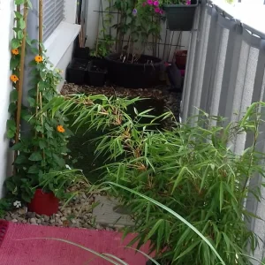 20190621_114735.jpg