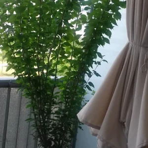 20190621_115148.jpg