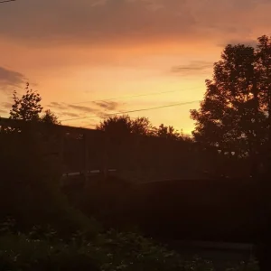 196AF3A2-6B39-44B9-ACA7-1927B0FB873D.jpeg