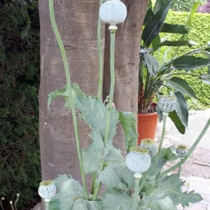 20190622_124018.jpg