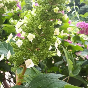 20190623_151709.jpg